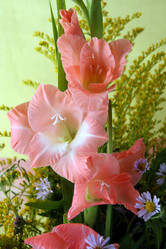 Similar image 300995