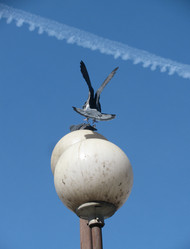 Similar image 300998