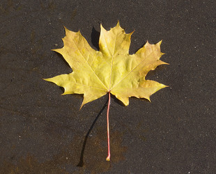 Similar image 301008