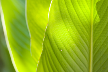 Similar image 301011