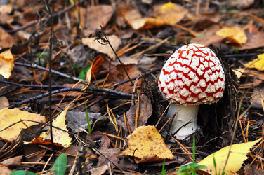 Similar image 301048