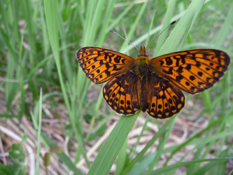 Similar image 301072