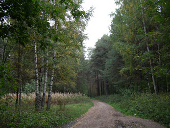 Similar image 301082