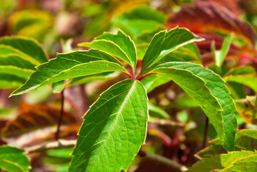 Similar image 301143