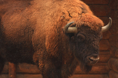 Similar image 301146