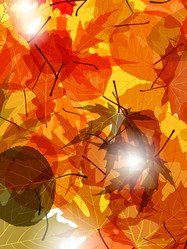 Similar image 301149