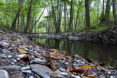 Similar image 301151