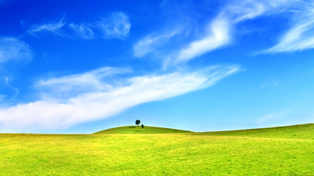 Similar image 301154