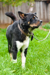 Similar image 301157