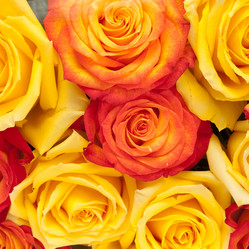 Similar image 301252