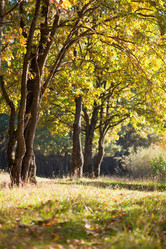 Similar image 301308