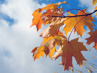 Similar image 301310