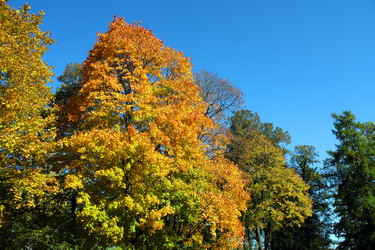 Similar image 301320