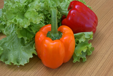 Similar image 301345