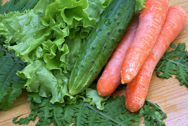 Similar image 301351