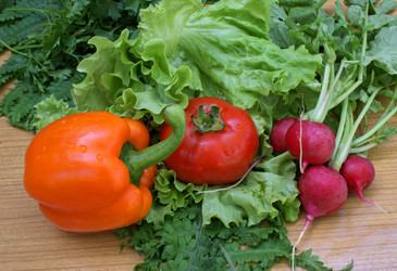 Similar image 301358