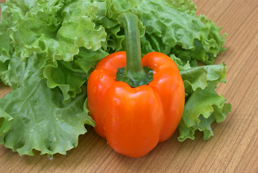 Similar image 301376