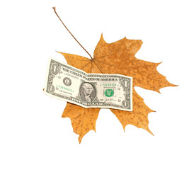 Similar image 301389