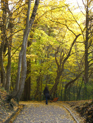 Similar image 301401