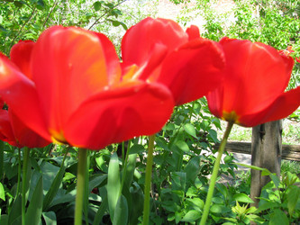 Similar image 301405