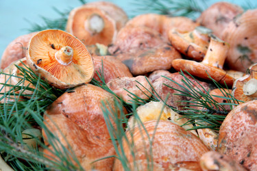 Similar image 301446