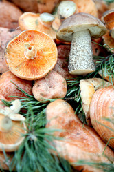 Similar image 301447