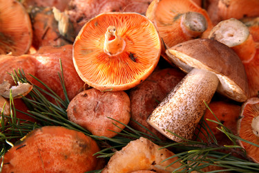 Similar image 301448