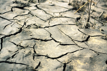 Similar image 301468