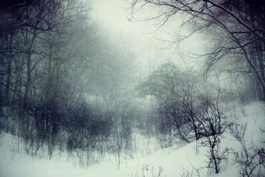 Similar image 301472