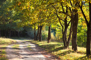 Similar image 301475