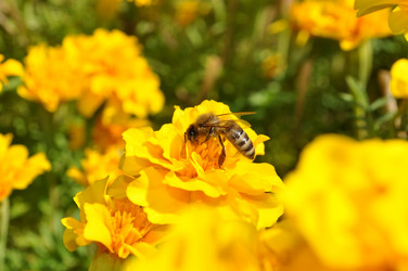 Similar image 301479