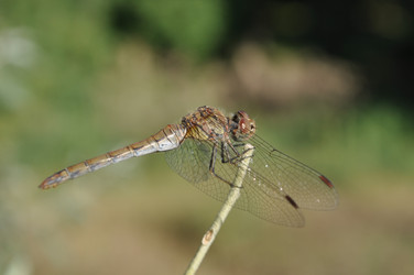 Similar image 301483