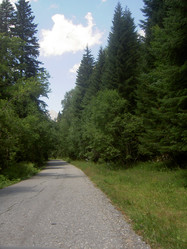 Similar image 301502