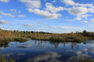 Similar image 301514