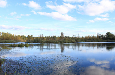 Similar image 301517