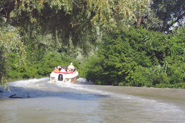 Similar image 301577