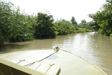 Similar image 301582