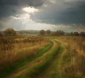 Similar image 301585