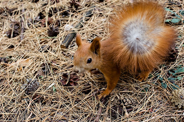 Similar image 301596