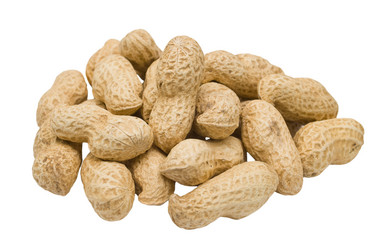 Similar image 301605