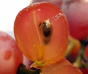 Similar image 301629