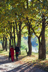 Similar image 301640