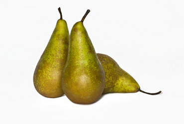 Similar image 301646