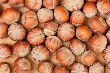 Similar image 301744