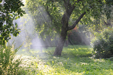 Similar image 301789