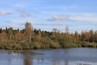 Similar image 301796