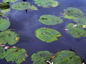 Similar image 301850