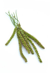 Similar image 301855