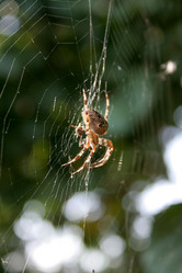 Similar image 301882