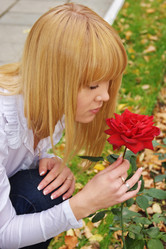 Similar image 301966